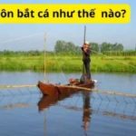 Cách kéo côn bắt cá như thế nào?