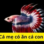 Cá mẹ có ăn cá con không?