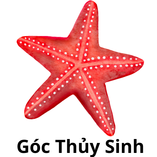 gocthuysinh.com