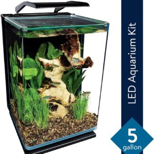 Marineland Portrait Aquarium: 5 Gallon LED Kit with Hidden Filtration