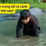 Cách nuôi trai trong bể cá cảnh như thế nào?